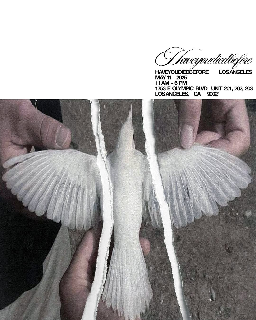 haveyoudiedbefore – Lowheads