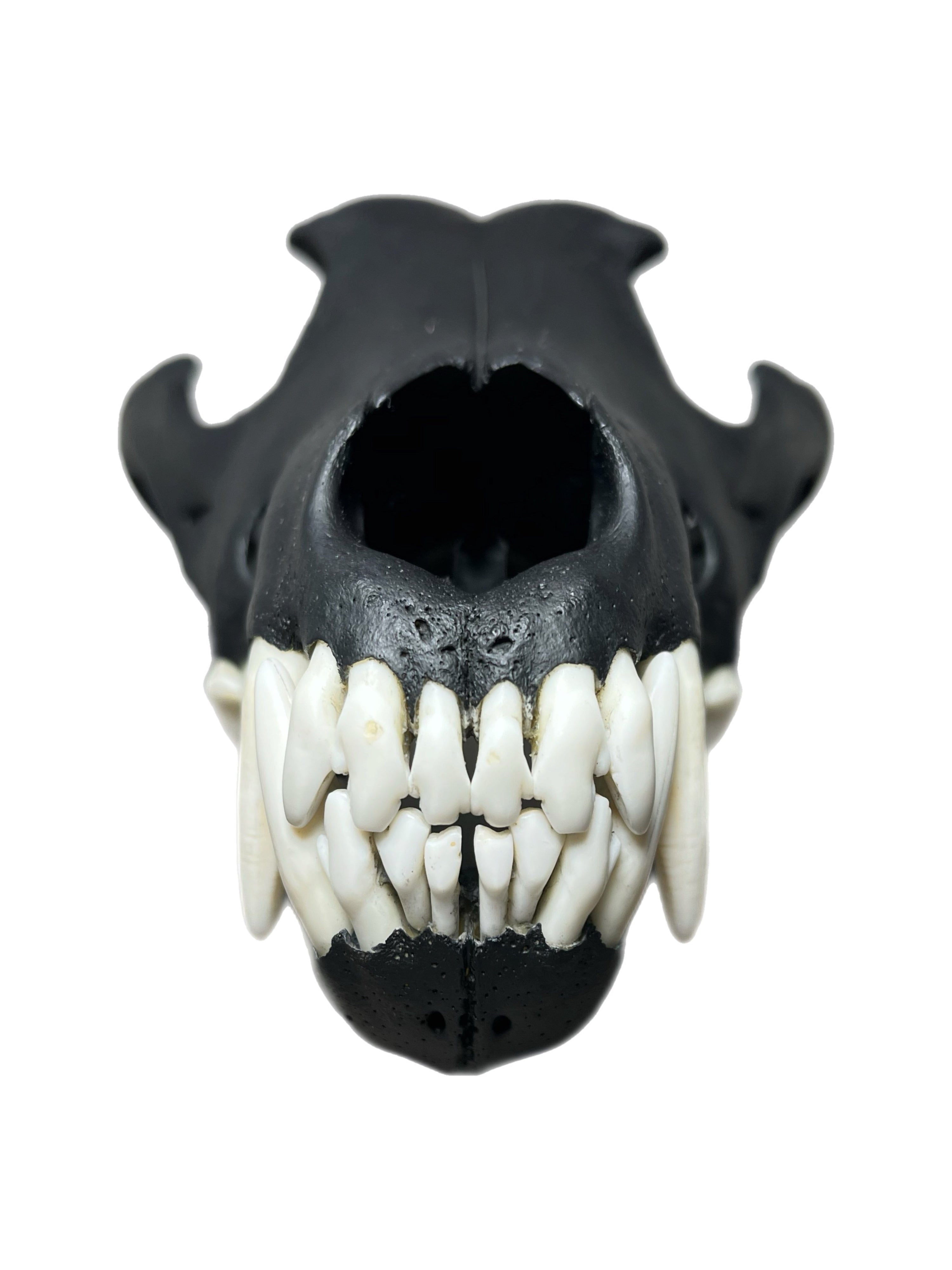Wolf Scull