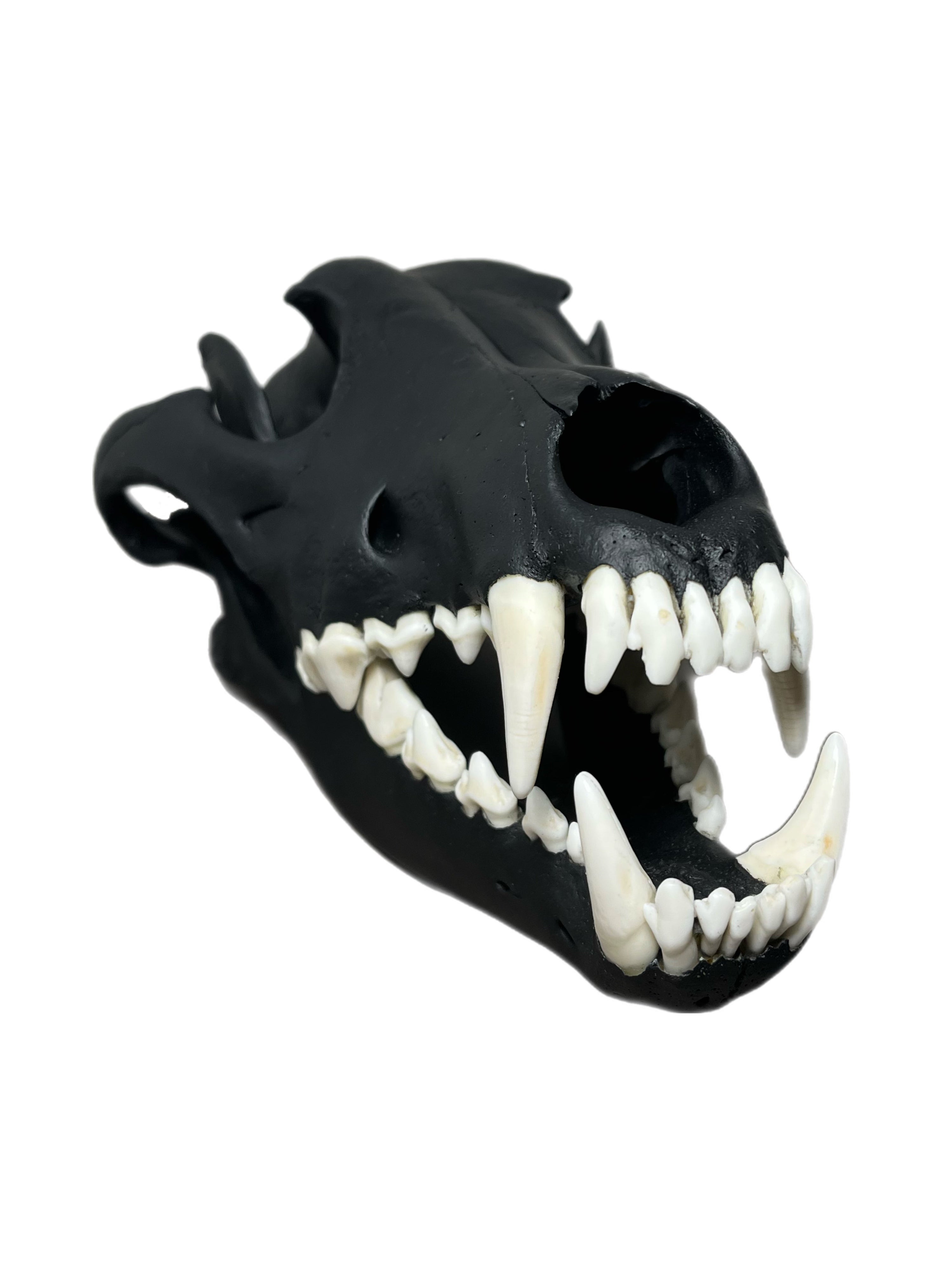 Wolf Scull