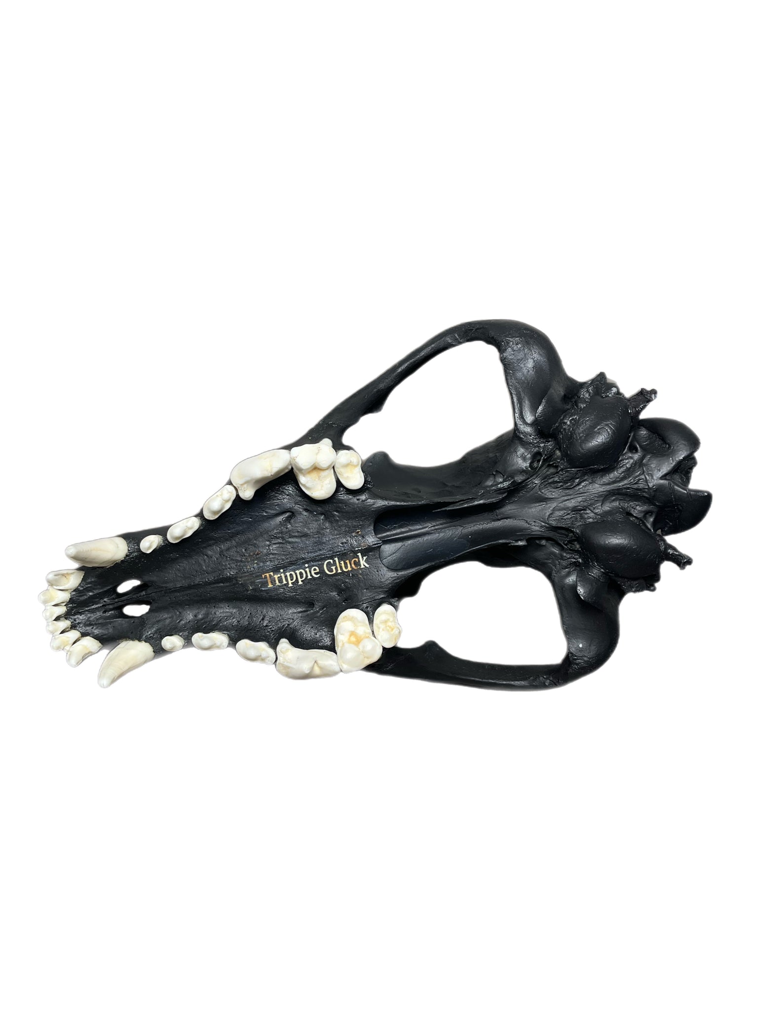 Wolf Scull