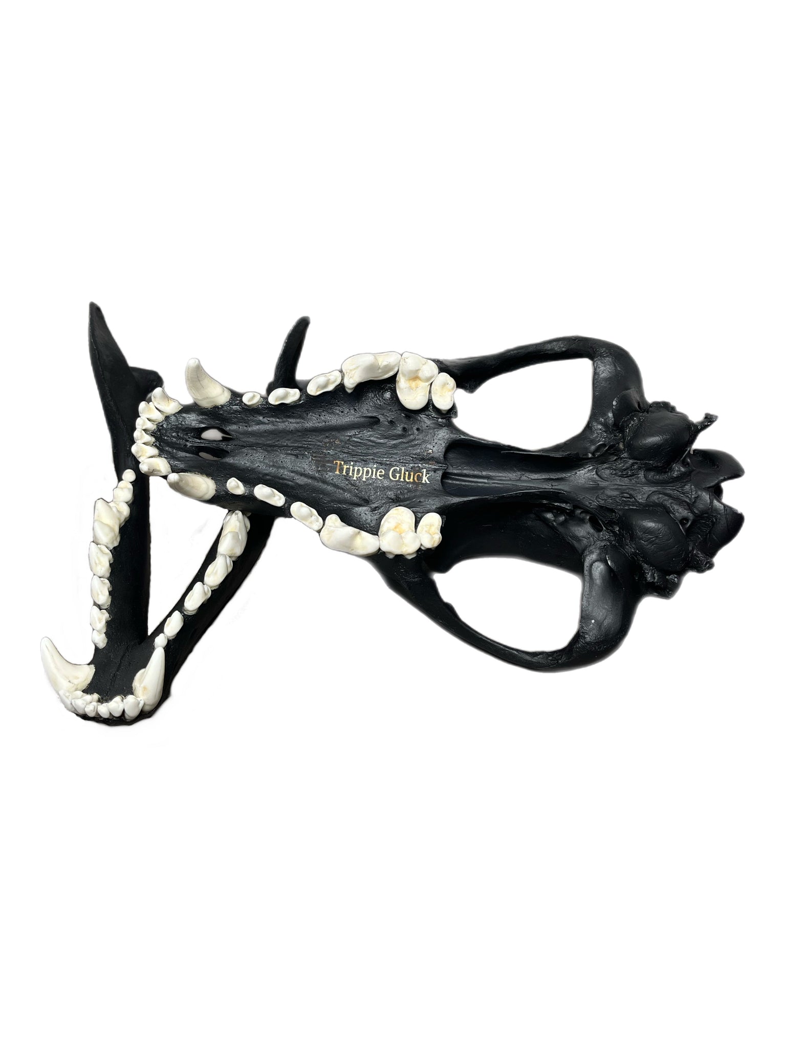 Wolf Scull