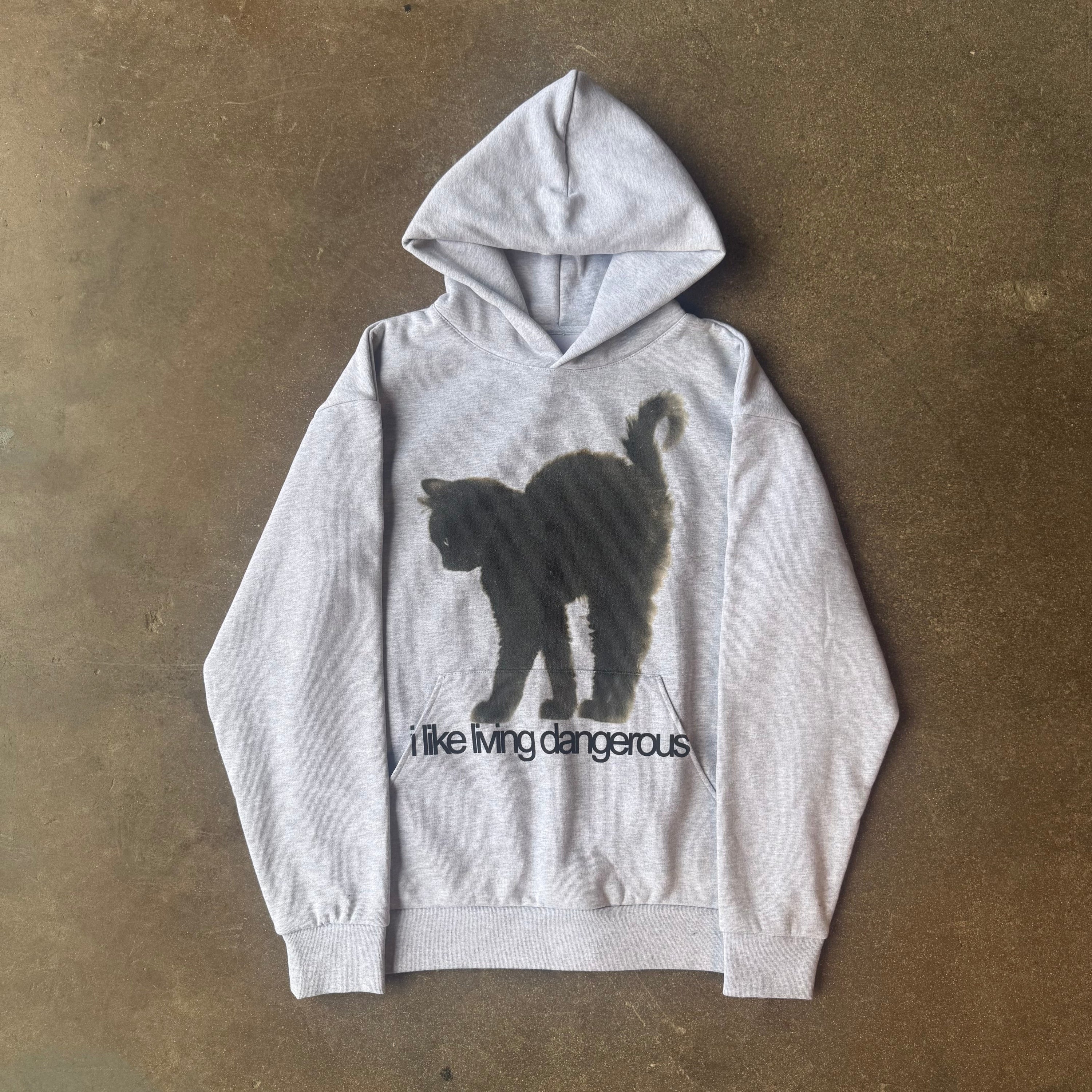 "DANGEROUS" HOODIE