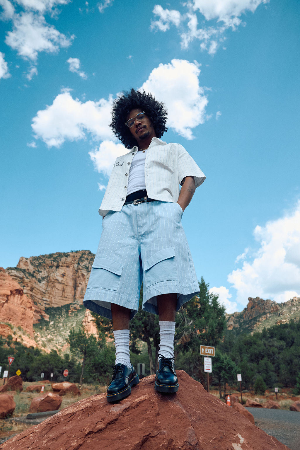 Pleated Cargo Pinstripe Shorts