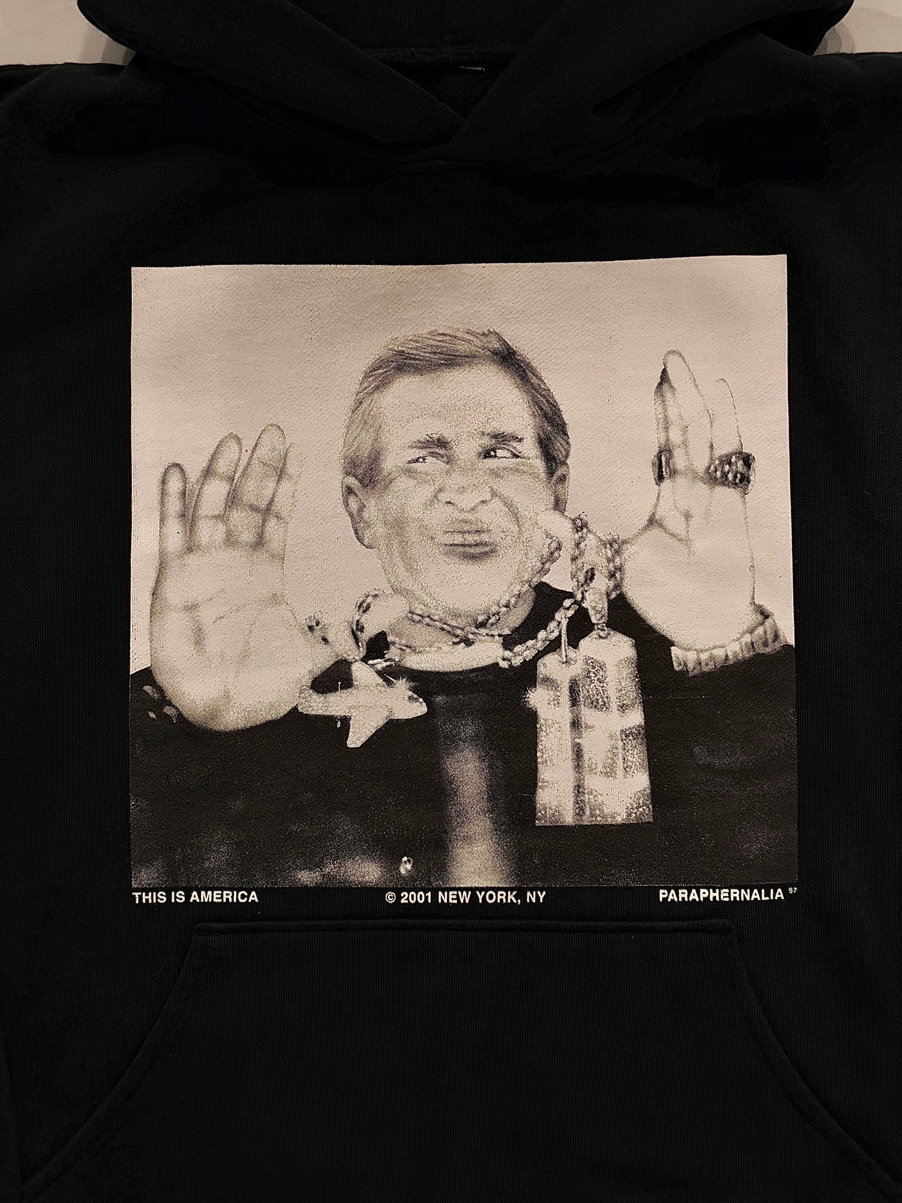 AMERICAN DREAM [HOODIE]