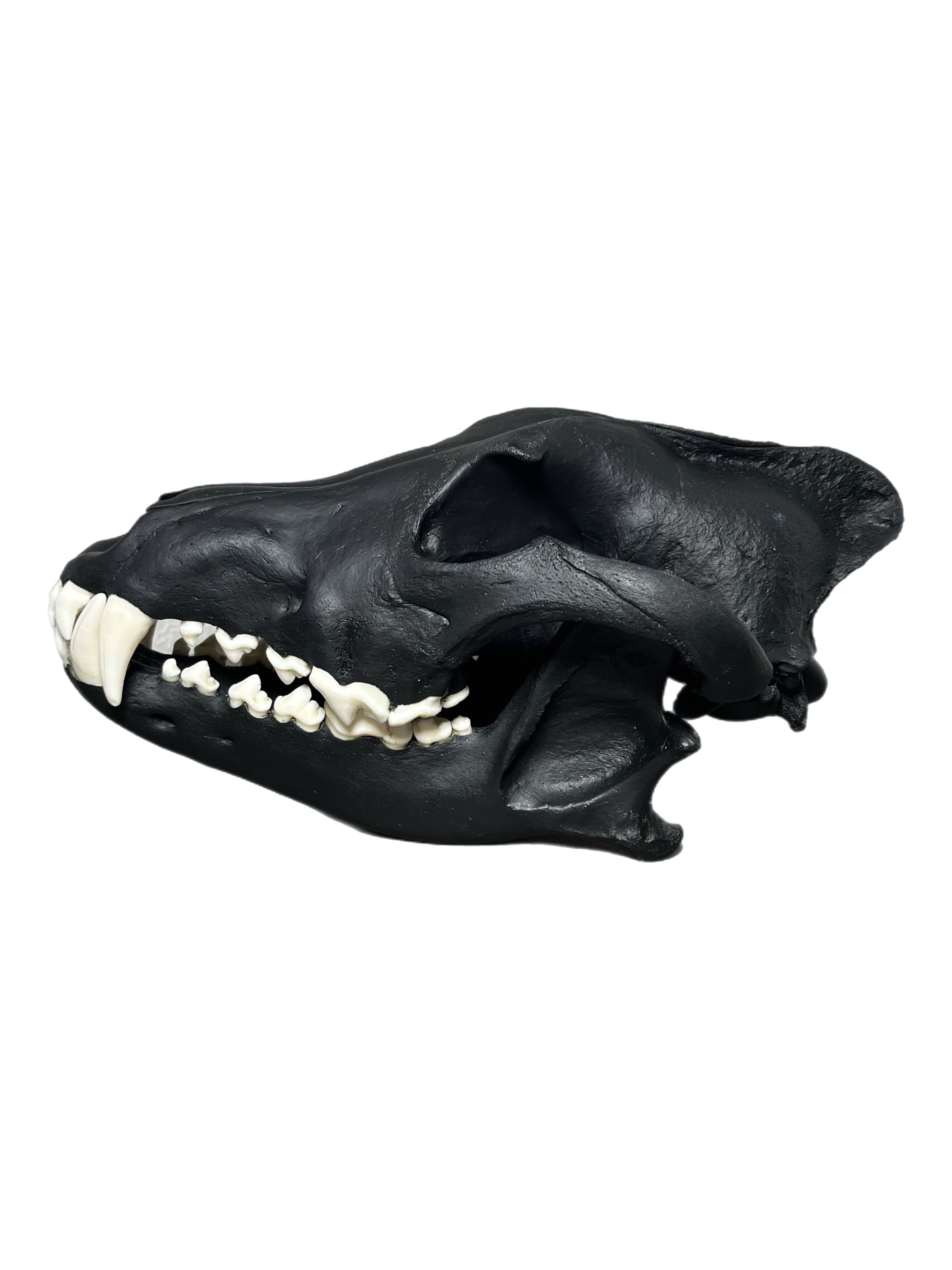 Wolf Scull