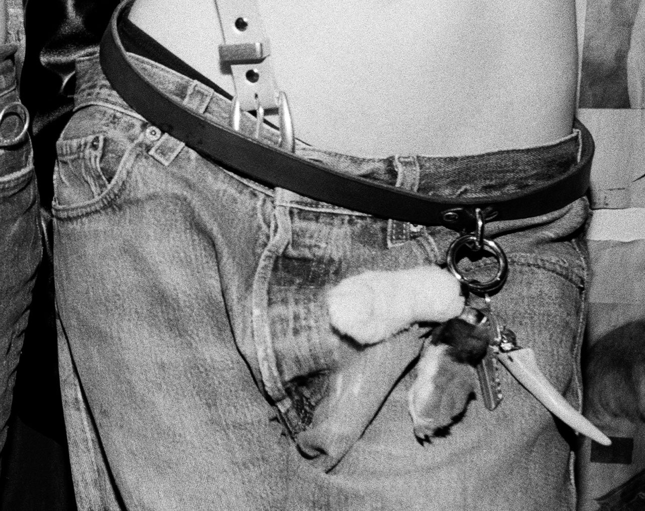 Farewell chapter belt