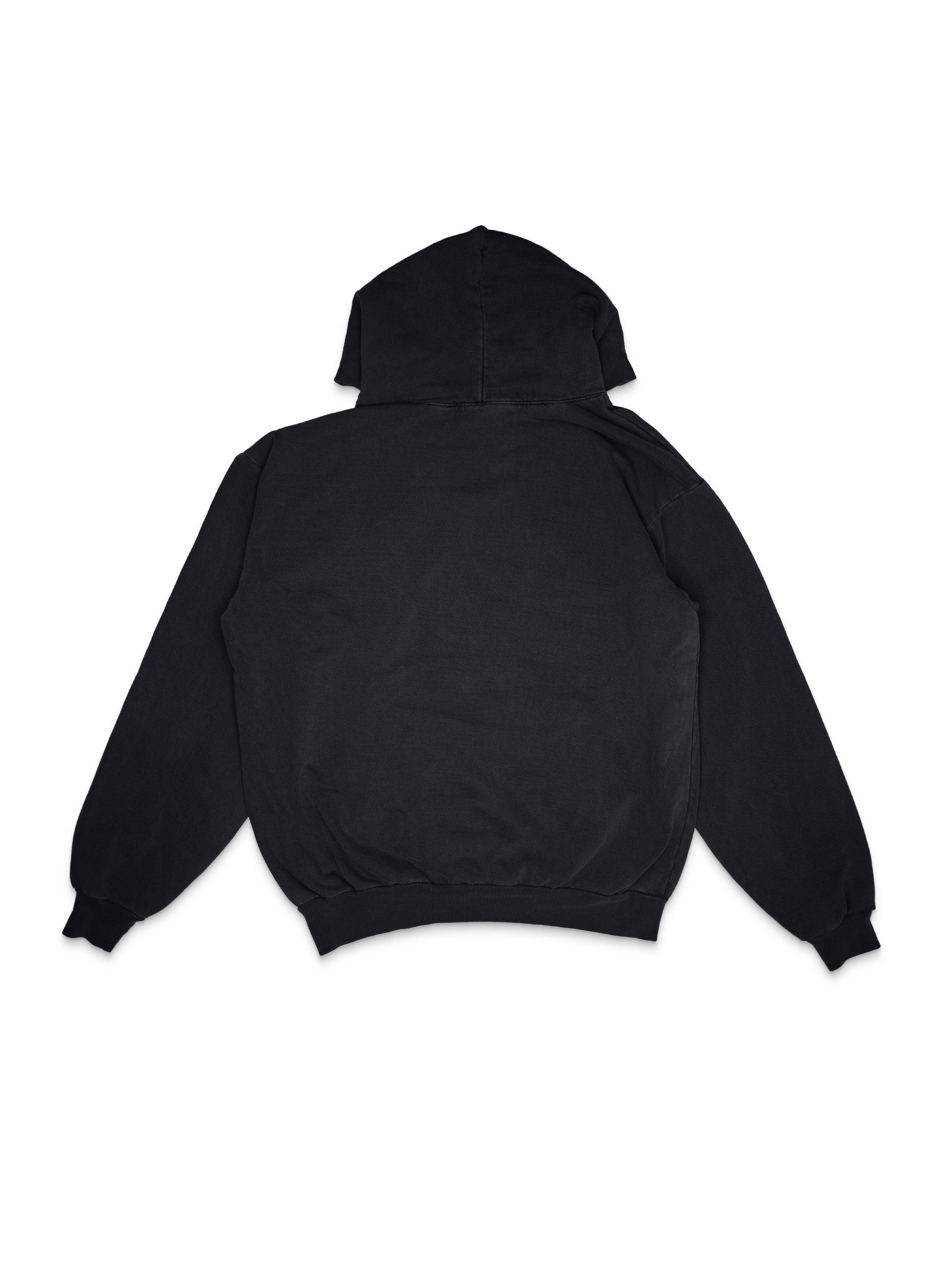 ASYLUM - Heavyweight Hoodie