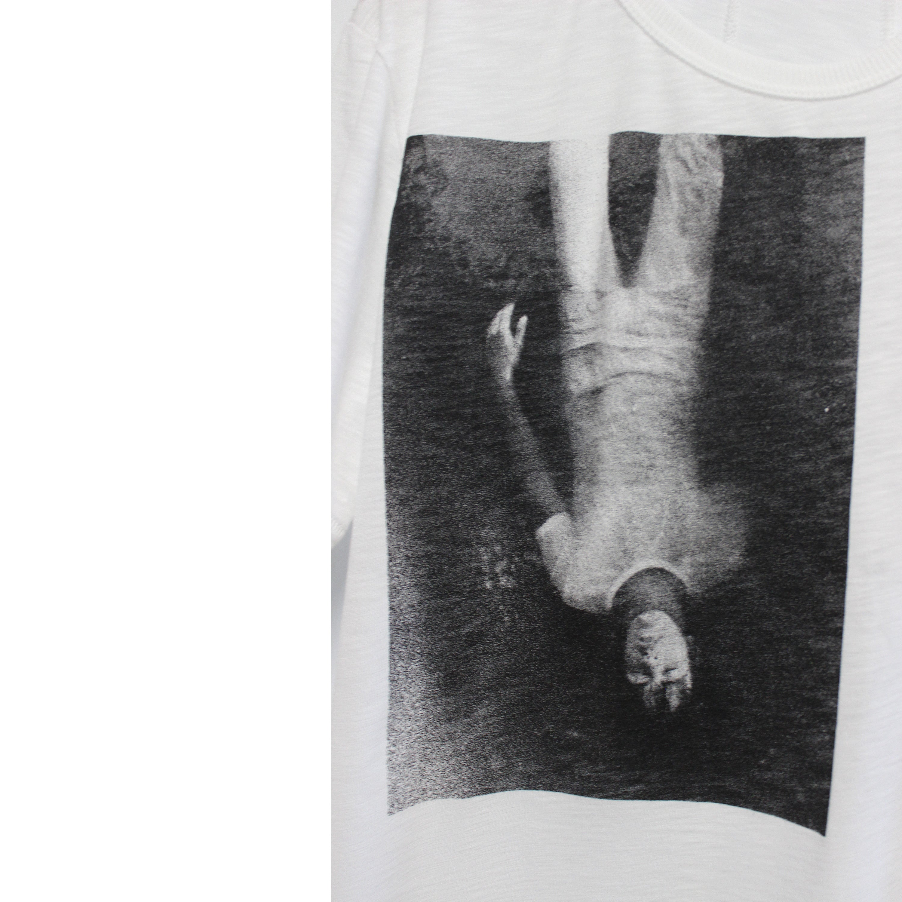 Ashes Scar Slub Tee