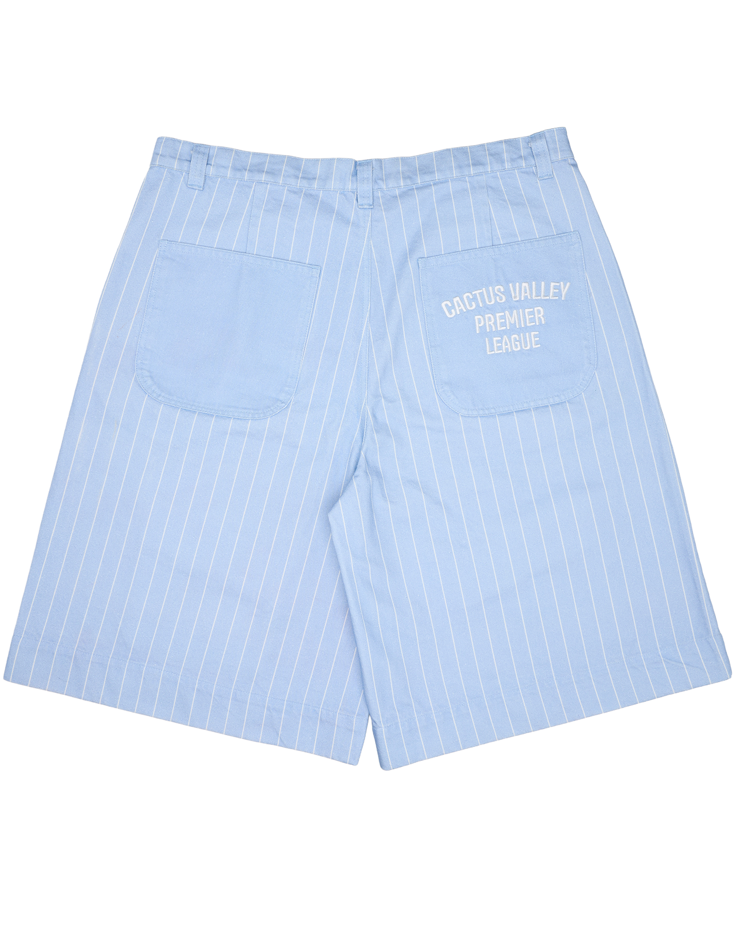 Pleated Cargo Pinstripe Shorts