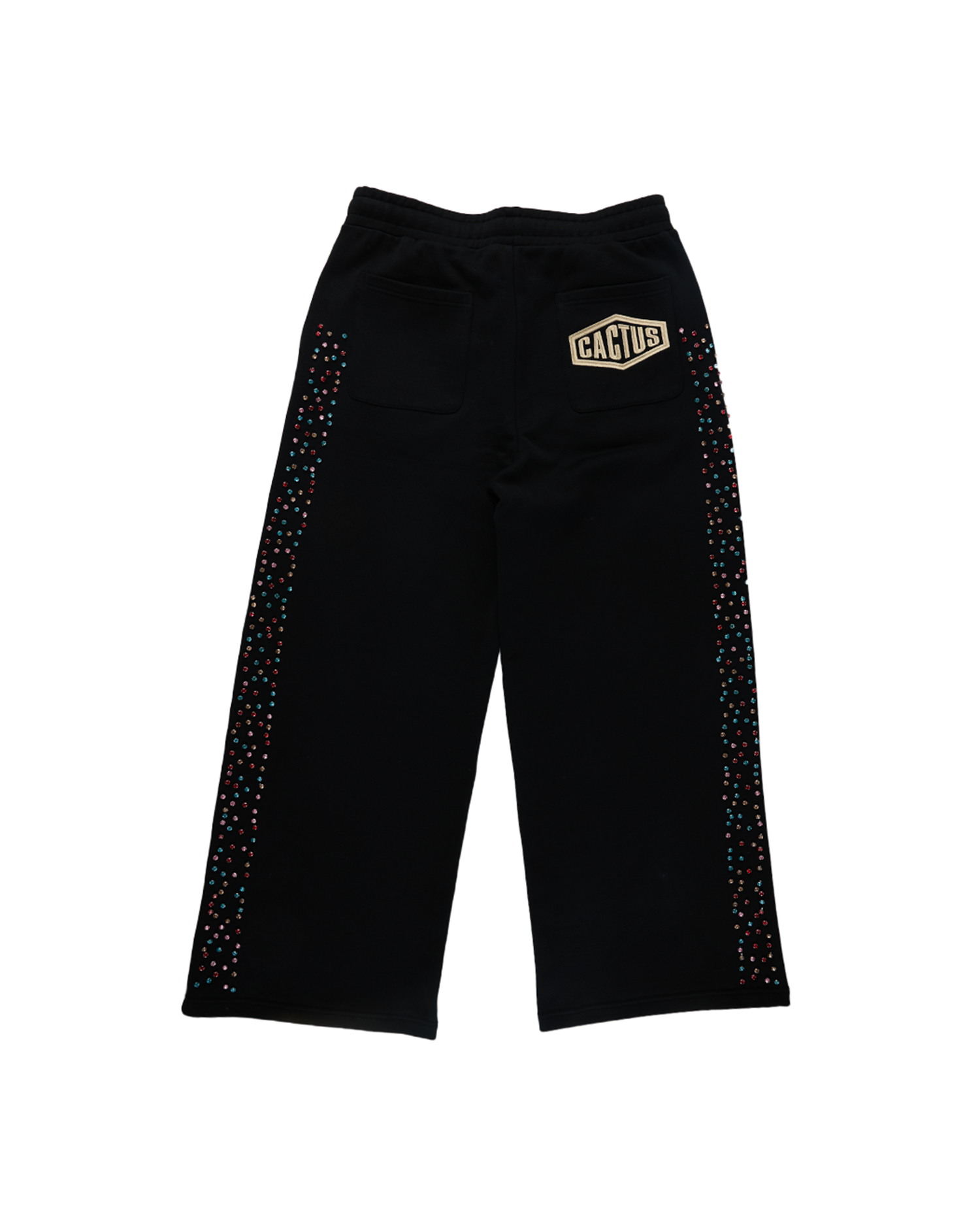 Crystal Cactus Sweats - Black