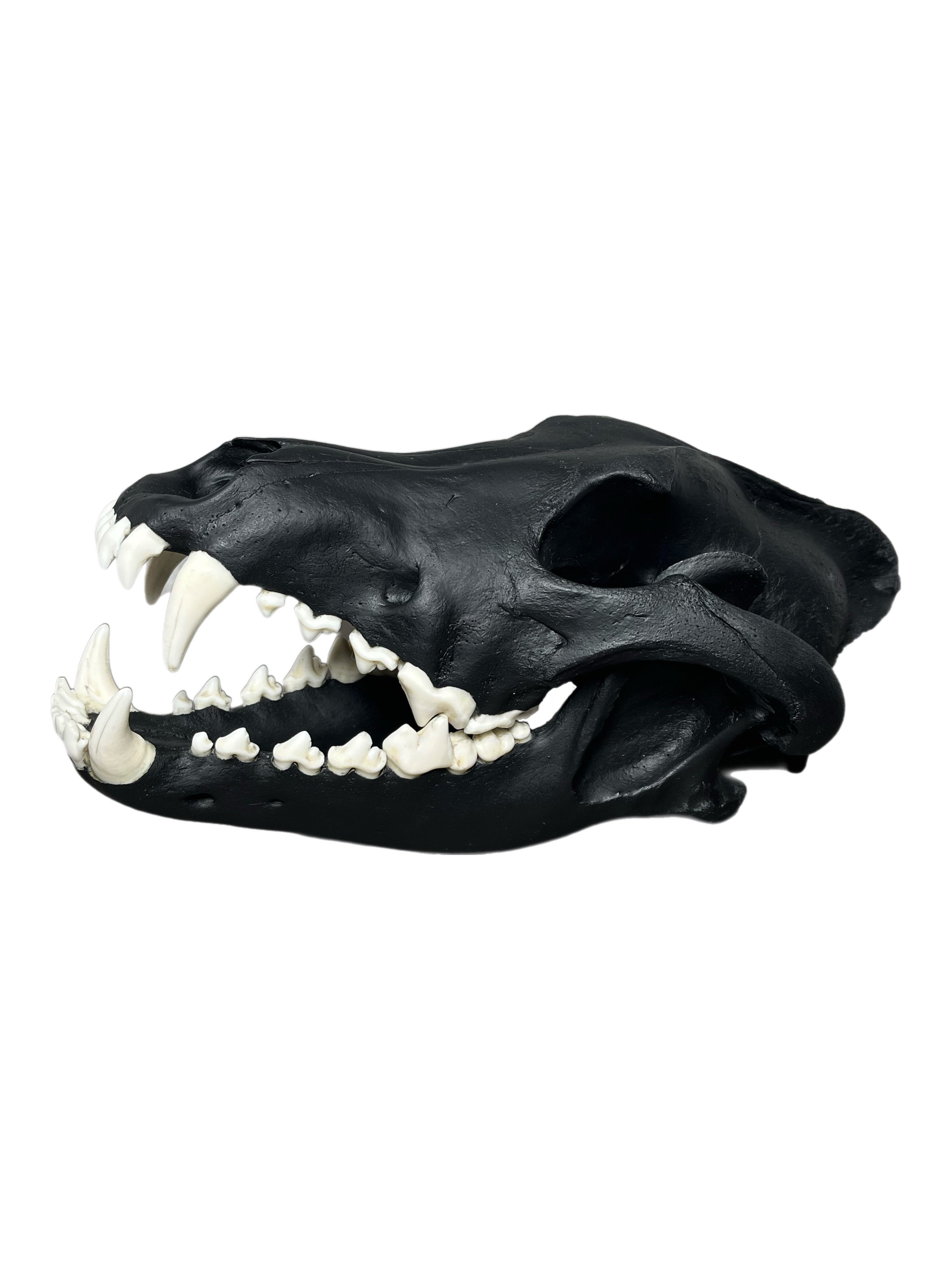 Wolf Scull