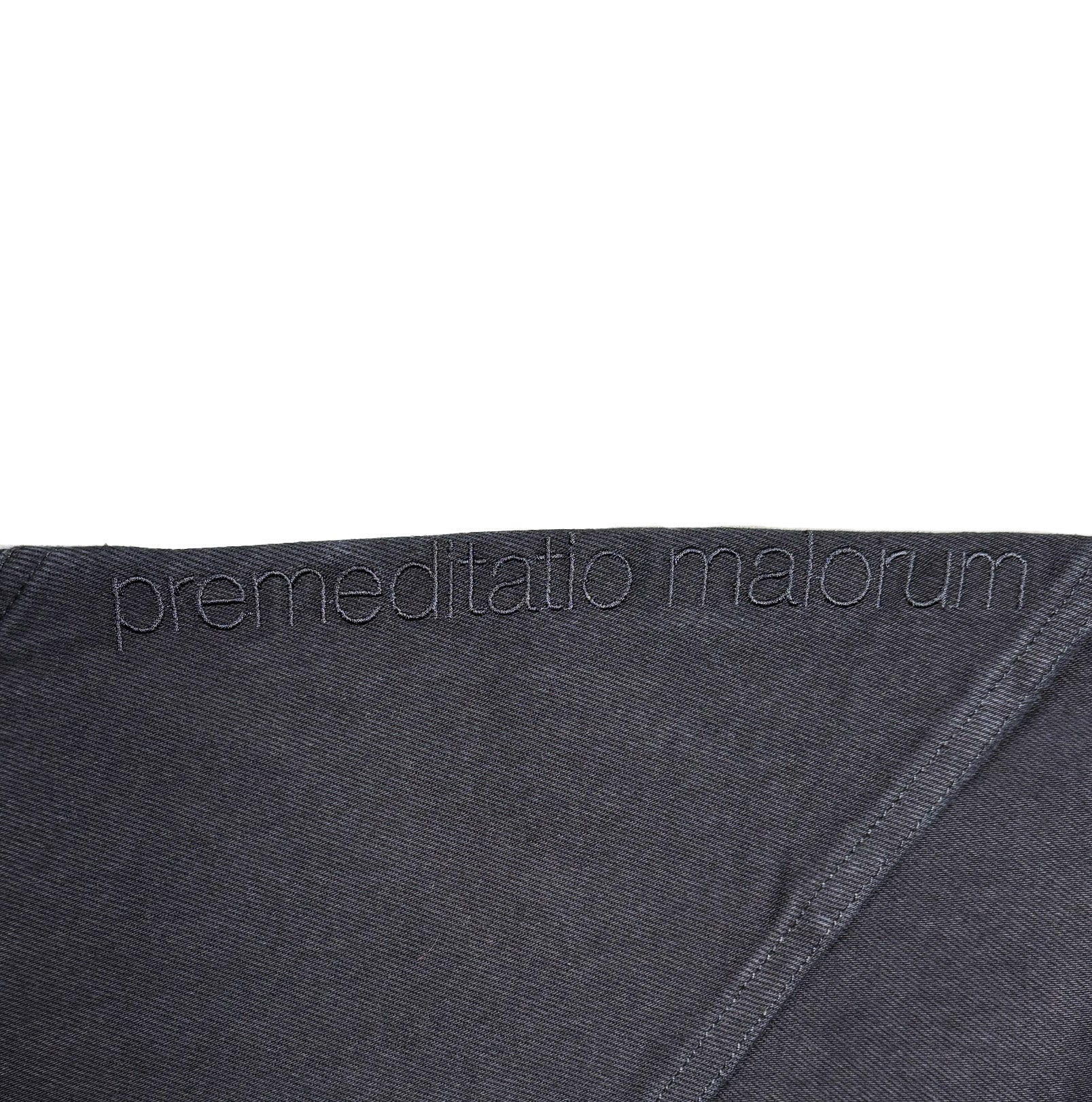 Premeditatio Malorum - Before the Fall