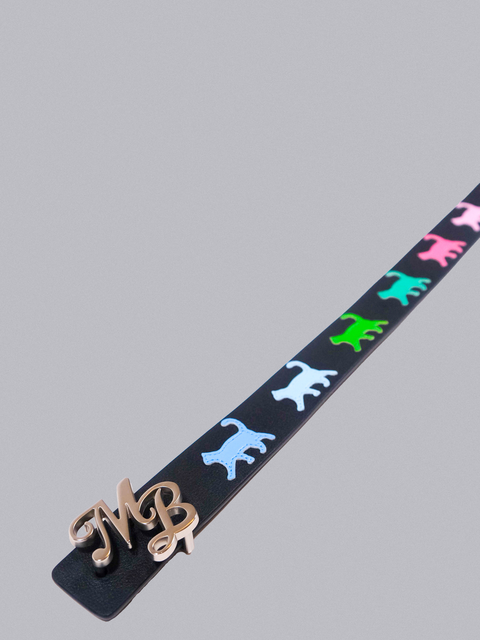 CAT BELT