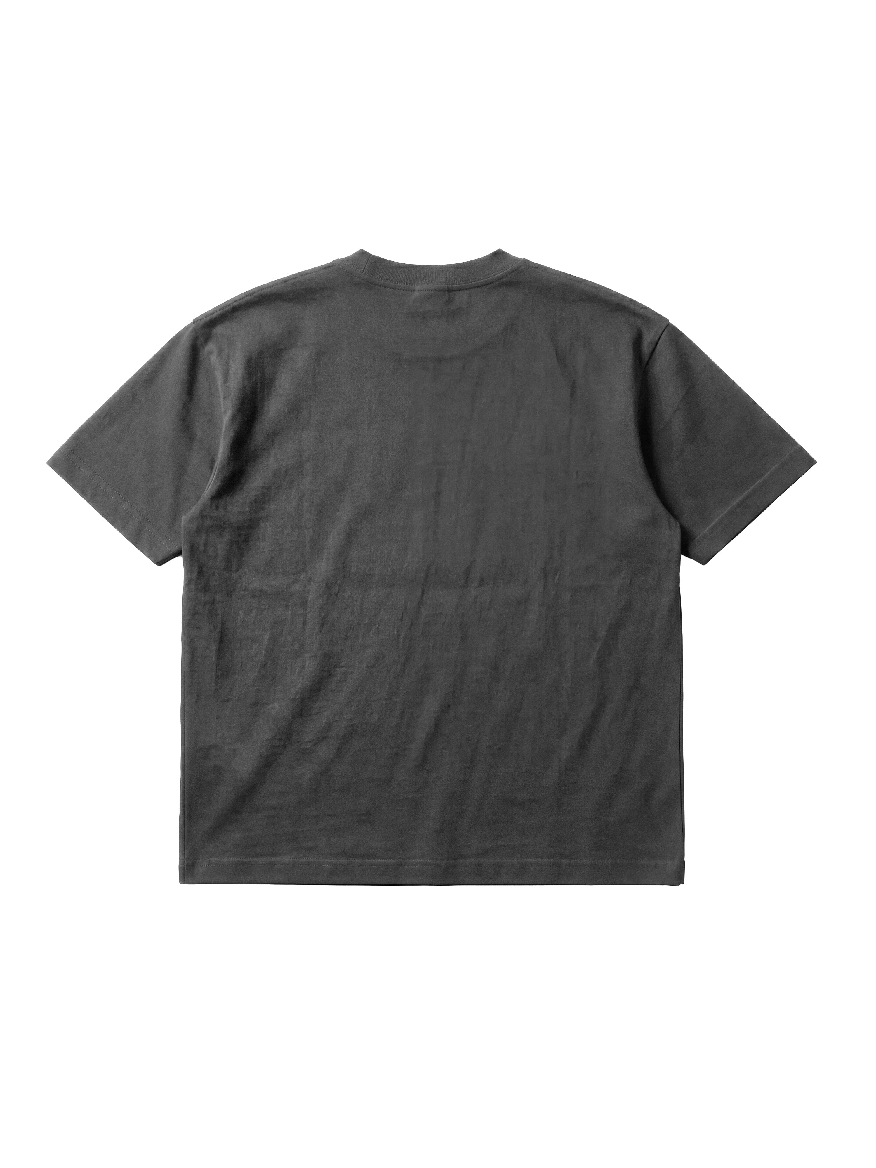 FALLEN - Dark Wash Heavy T-Shirt