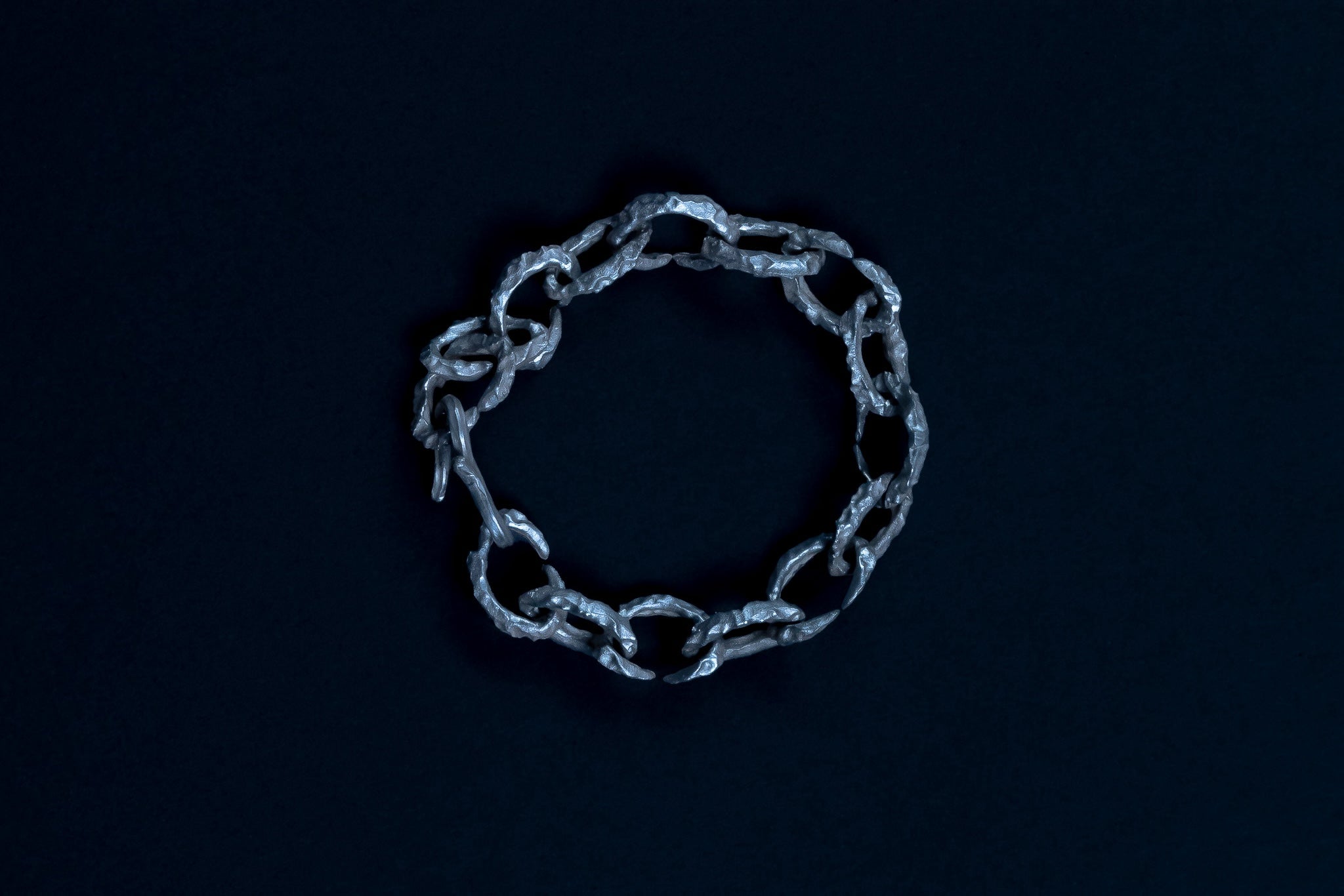 Fish Chain Bracelet