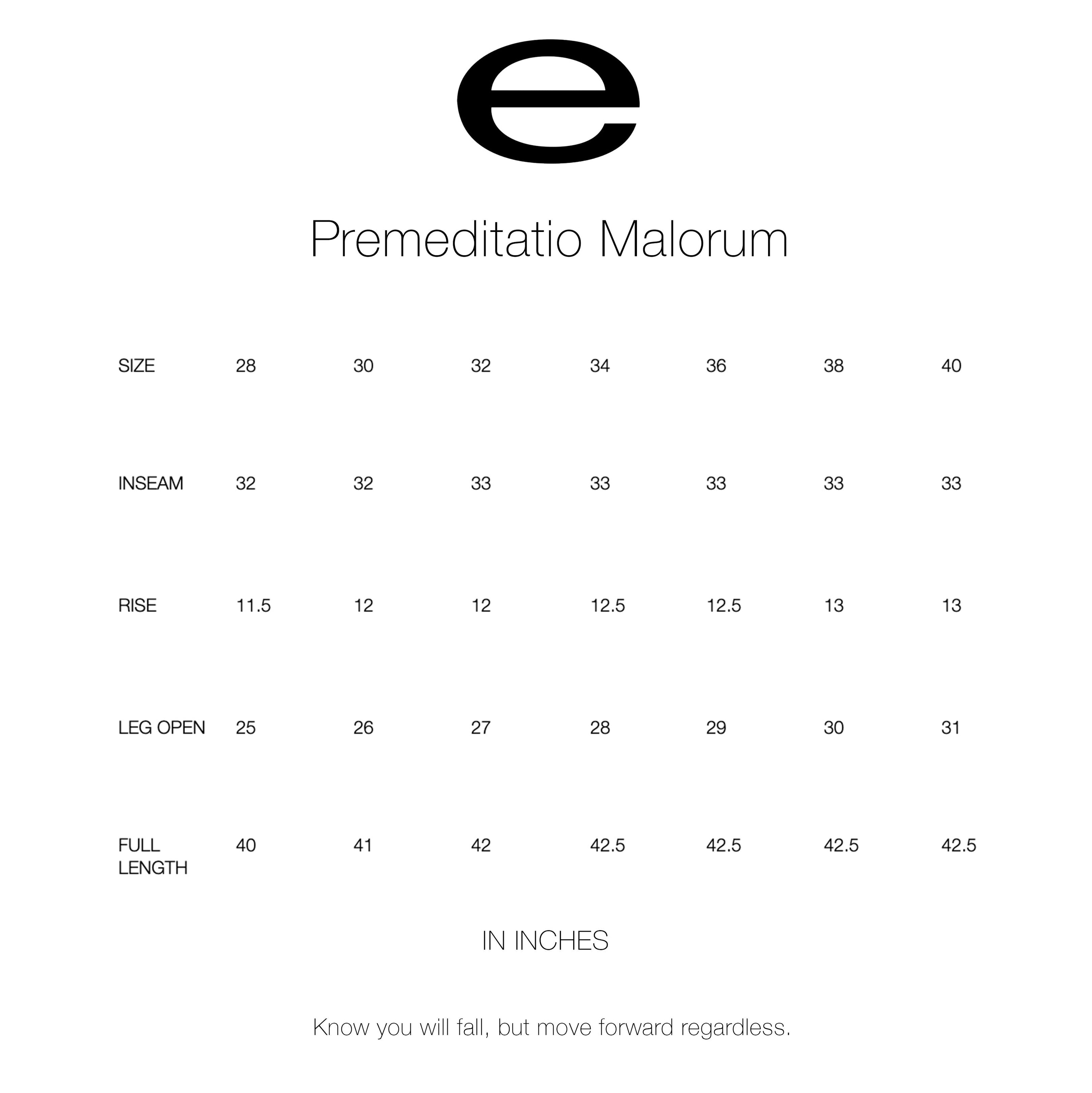 Premditatio Malorum - After the Fall