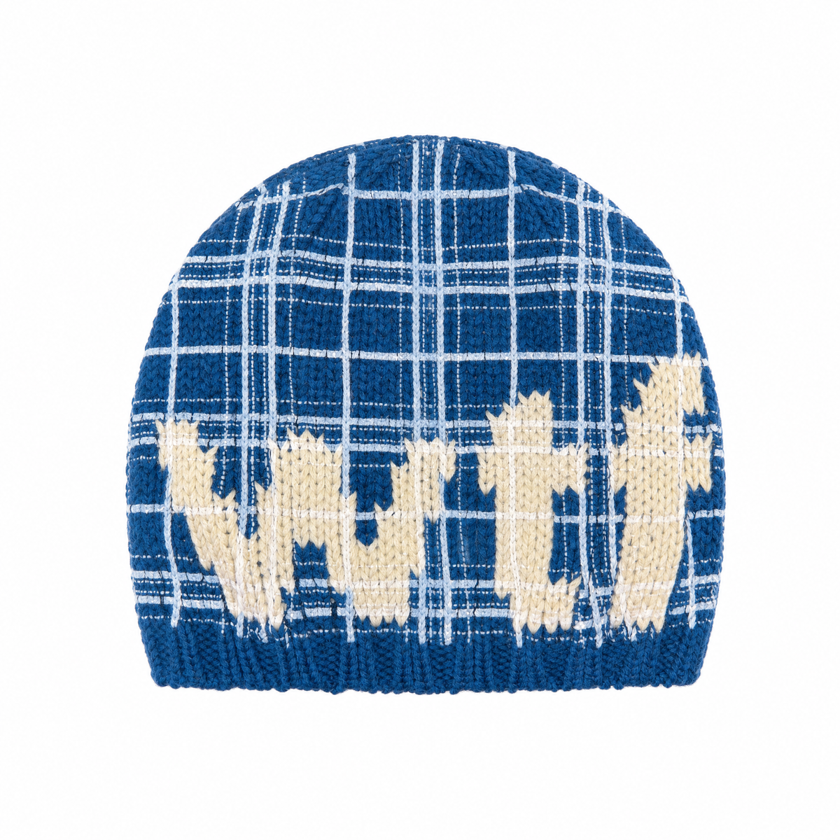 WTF Beanie