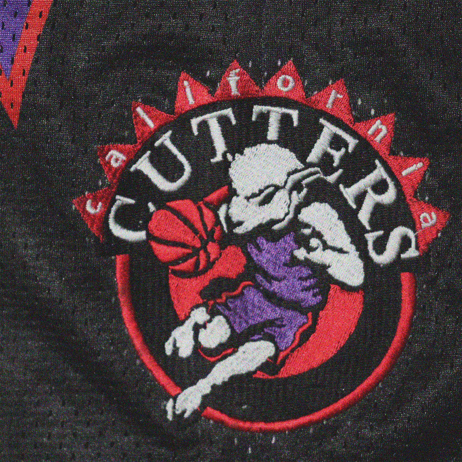 Toronto Raptors Basketball Pants