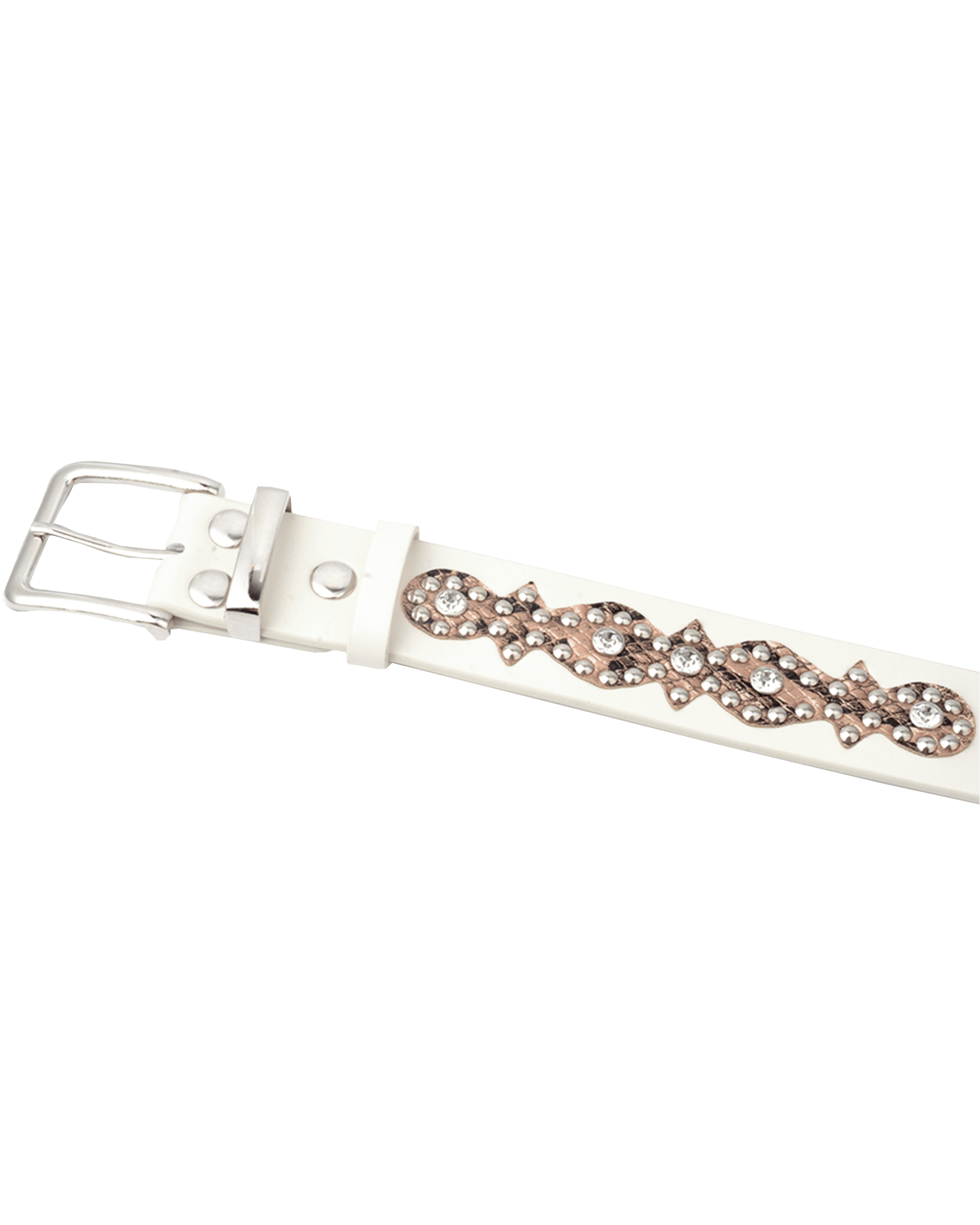 World Domination Belt