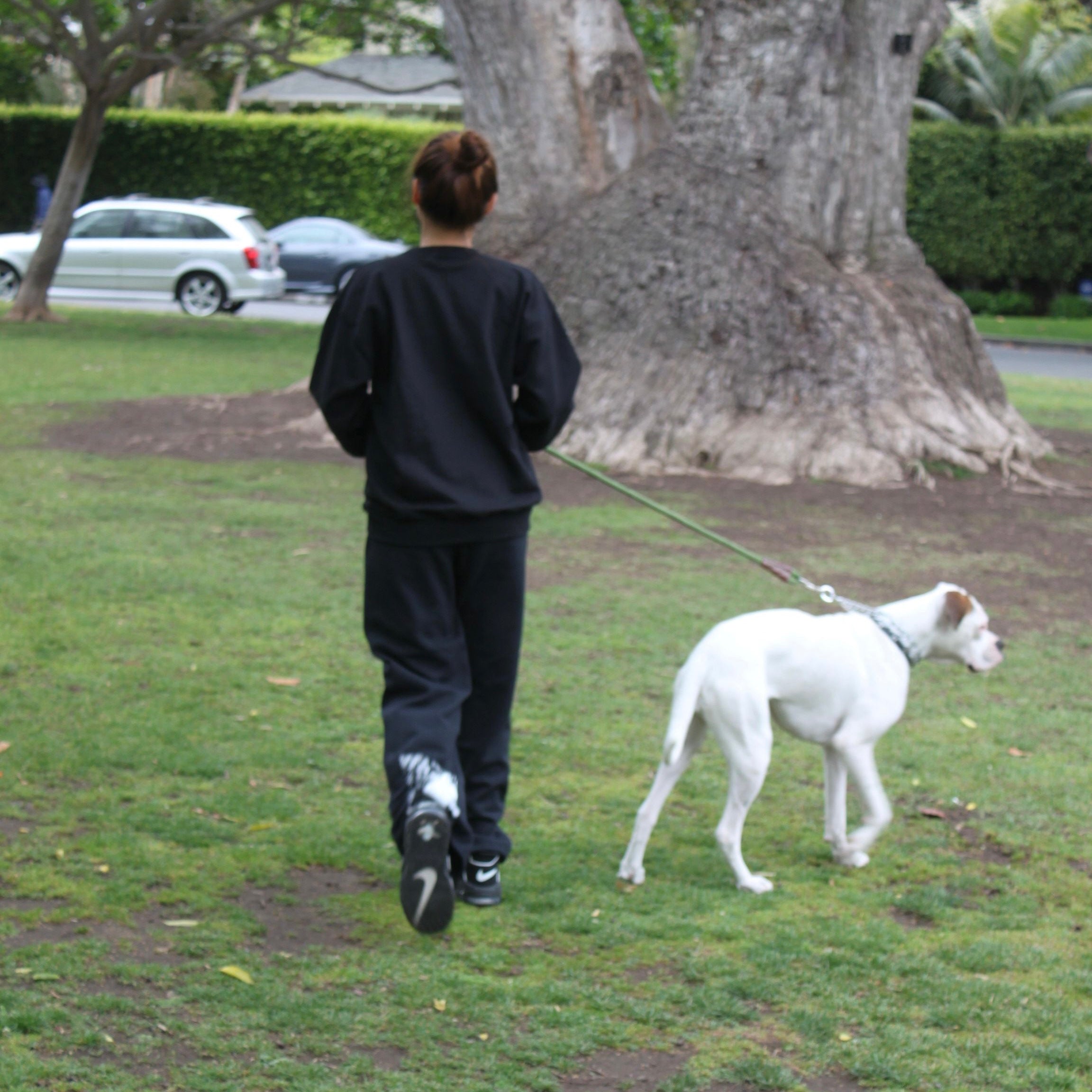 BLACK SAMURAI SWEATS